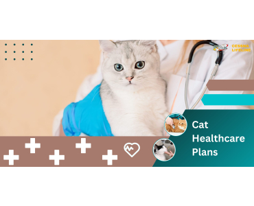 A Comprehensive Guide to Cessna Pet Store's Cat Healthcare Plans