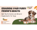 Best Pain Relief Medicines for Dogs
