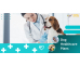 Dog Healthcare Plans: An Investment in Your Pet's Future