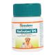 Himalaya Nefrotec DS For Dogs And Cats 60 Tablet