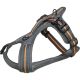 Trixie Fusion Touring Harness M-L Graphite-Papaya 207532