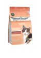 Arden Grange Grain Free Adult Cat Dry Food Fresh Salmon and Potato