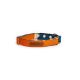 Petwale Martingale Collar Small