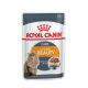 Royal Canin Intense Beauty Wet Pouch 85g