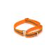 Petwale Martingale Collar Medium