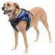 Walkin Pets Lift Front Harness Large