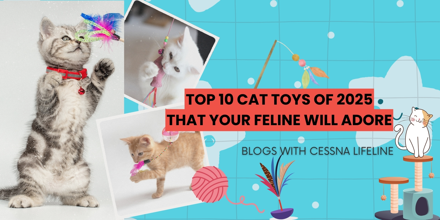 How Many Toys Does Cat Need: Ultimate Guide to Happy Cats